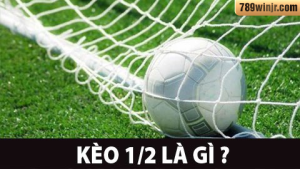 Kèo Chấp 1/2 Là Gì?